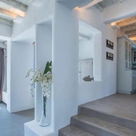 Luxury Paros Superior Private Pool Stunning Interior * Chrisi Akti (Paros)